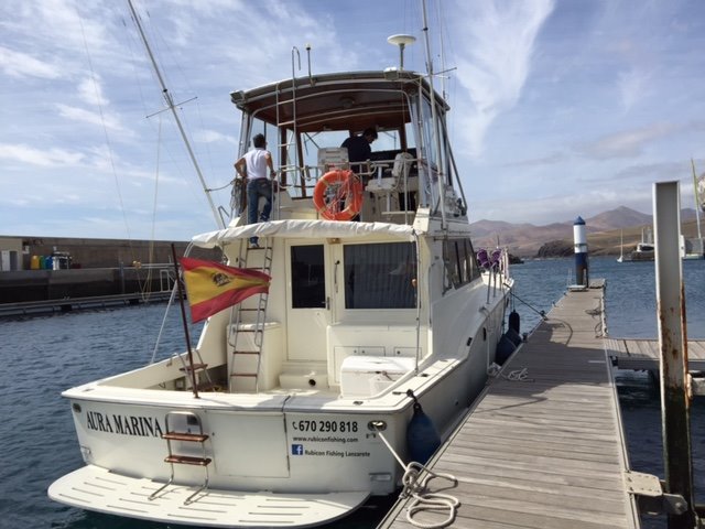 Excursión en barco con delfines