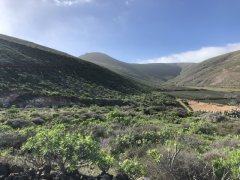 Lanzarote - plus belle que jamais