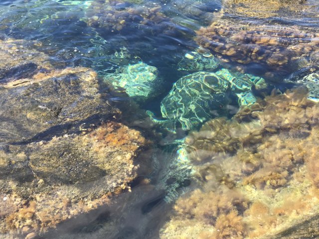 Los Charcones - secreto de Lanzarote